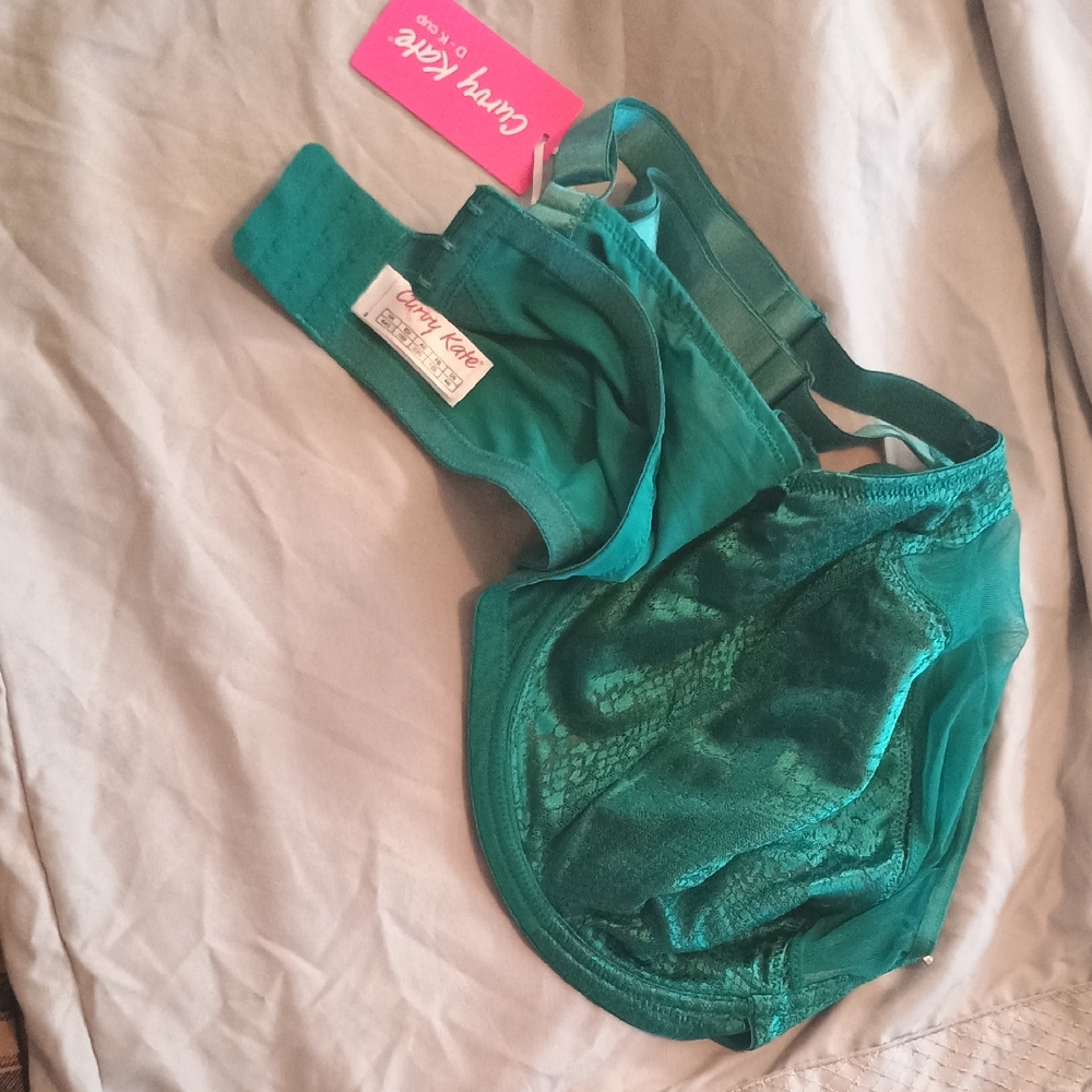Curvy Kate Teal Sheer Lace Bra Vibrant and Eye-Catching